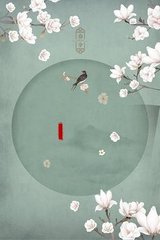 大菠萝app导航